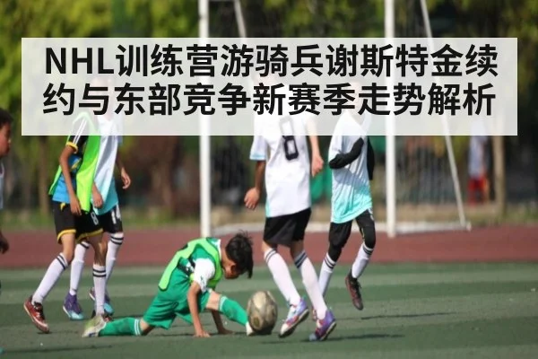 NHL训练营游骑兵谢斯特金续约与东部竞争新赛季走势解析